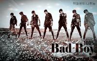 BAD BOY_100%