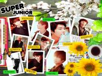 Super_Junior_Boys_In_City_Season 4