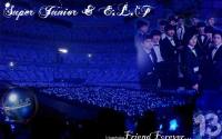 Super Junior & E.L.F Forever