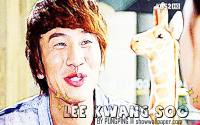 LEE KWANG SOO :: Giraffe ::