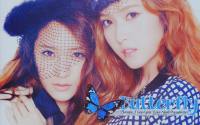 Jungsis Butterfly