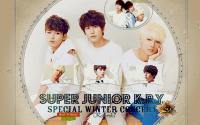 superjunior: K.R.Y special winter