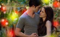 Twilight (แวมไพร์ ทไวไลท์)_เอ็ดเวิร์ด - เบลล่า ver.1