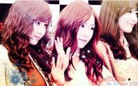 TaeTiSoo ----