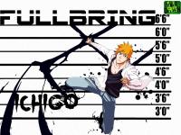 Ichigo Fullbring