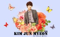 Kim Jun Myeon - Su Ho EXO