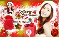 Shin Se Kyung ♥ Merry Christmas!!