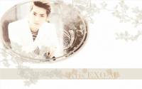 Official Kris EXO-M Calendar 2013
