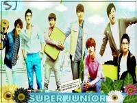 super junior calender  2013_kyochon ver 2