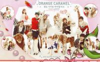 orange caramel  & Nu'est : 2013 happy ^^