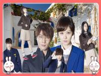 School 2013