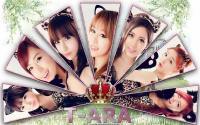 T-ara 2013