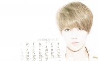 ♥Merry Christmas♥Calendar 2013 by INDYLUHAN : January