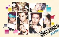 SJ-M :: Break Down