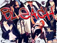 Bleach "fashion"