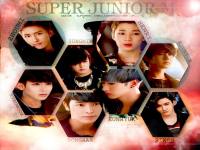 Super_Junior_M-BREAK DOWN Ver 3