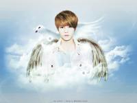 Angel luhan [blue]