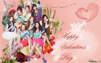 SNSD ~ Happy Valentines Day