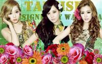 Taetiseo