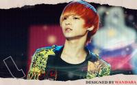 L.JOE TEENTOP