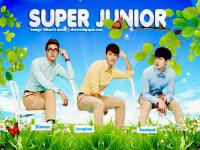 Super Junior SDE On SPAO 2013