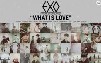 EXO :: What Is Love ♥