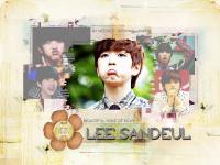 Sandeul's Day