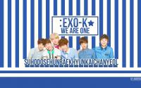 EXO-K:1 SET IVY I