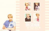 EXO-K SEHUN IVY I