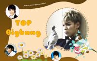 TOP::Bigbang