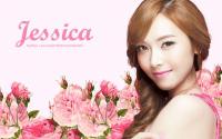 Jung Sica Banila Co.