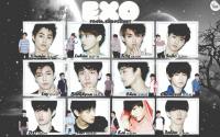 EXO[MAMA] :: 1st Anniversary