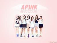 APINK SKOOLOOKS