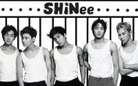 SHINee wallpaper