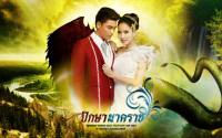 ปักษา นาคราช-Photoshop Wedding Dress Filled With Love 2013