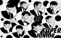 Super_Junior::SUPER SHOW 5 in INA