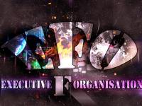 Executive F Organisation