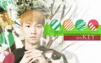 SHINee Key 2013