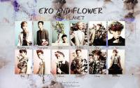 :: EXO AND FLOWER[Magazine]::