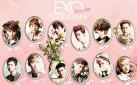 EXO :: Ceci Magazine