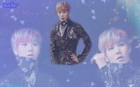 zelo