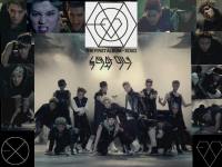 Exo Wolf Teaser