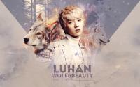 EXO : LUHAN  Wolf&Beauty