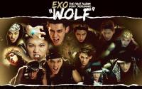 EXO :: Wolf (늑대와 미녀) MV Teaser