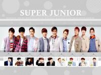 Super Junior::LOTTE DUTY Rev 2::UPDATE 2013