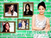 HBD Yoon A 2013