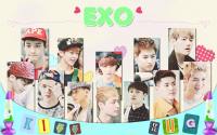 exo wallpaper 2013