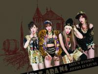 T-Ara N4