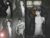 Exo Wolf Sexiest Favorite Member