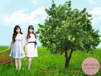 Sooyoung & Seohyun Natural Tree